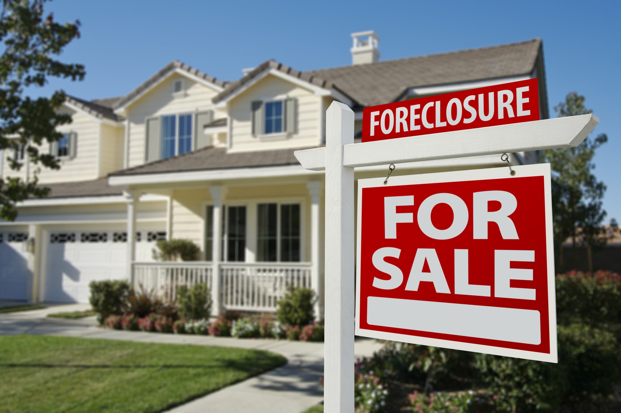 Foreclosed & REO Properties
