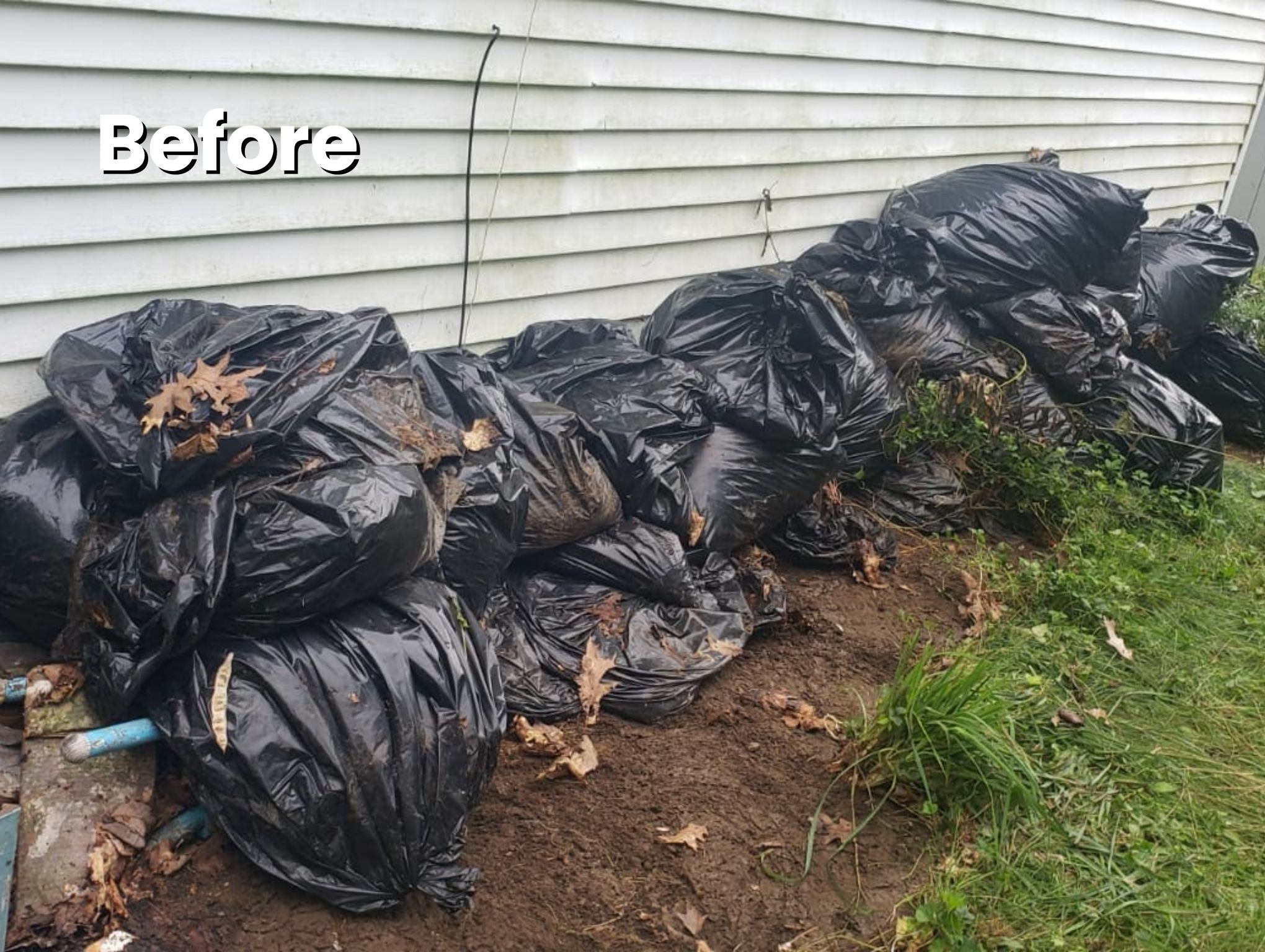 Cleanup photo for Blauvelt, NY