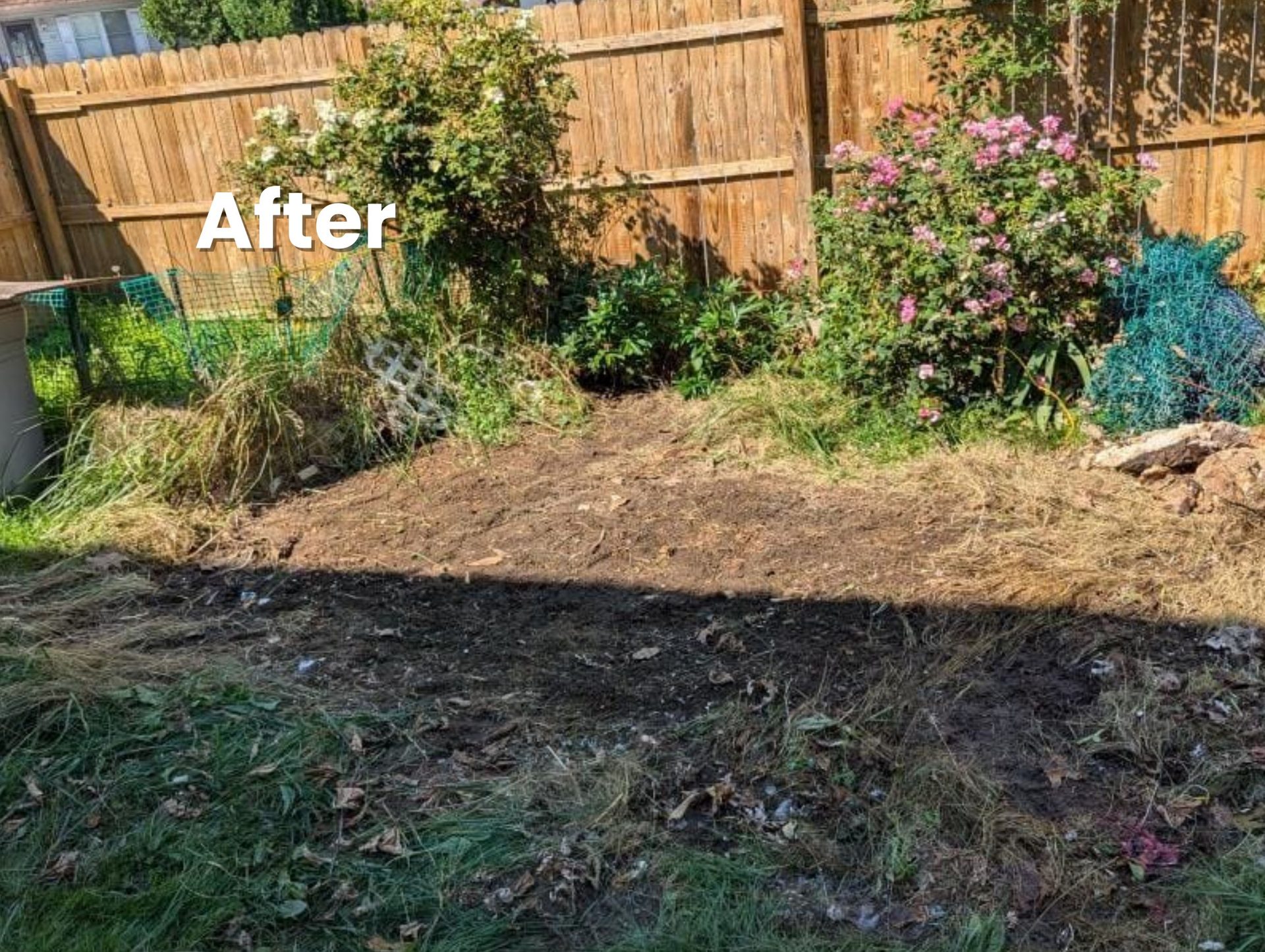Backyard area after debris removal