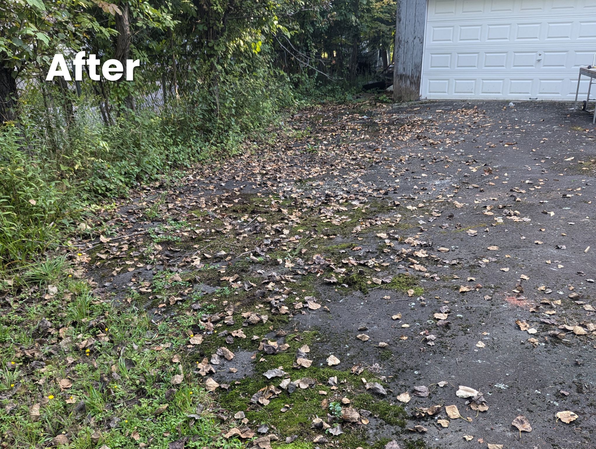 Driveway cleanup after junk removal