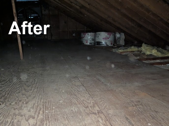 Attic after attic cleanout