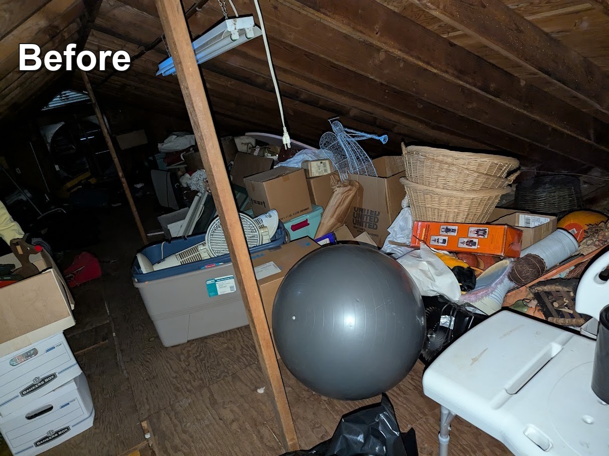 Attic before attic cleanout