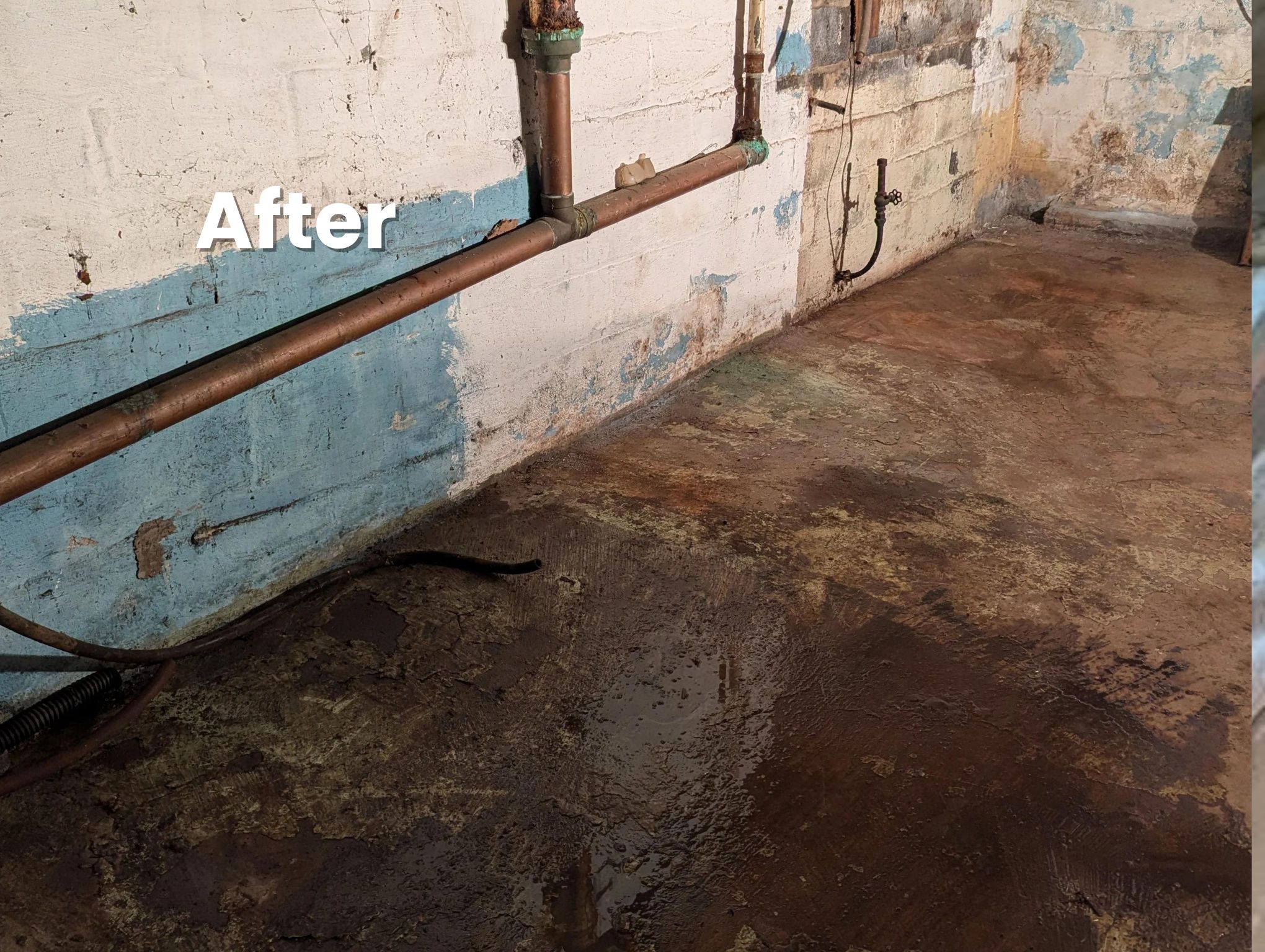 Basement cleanout after service