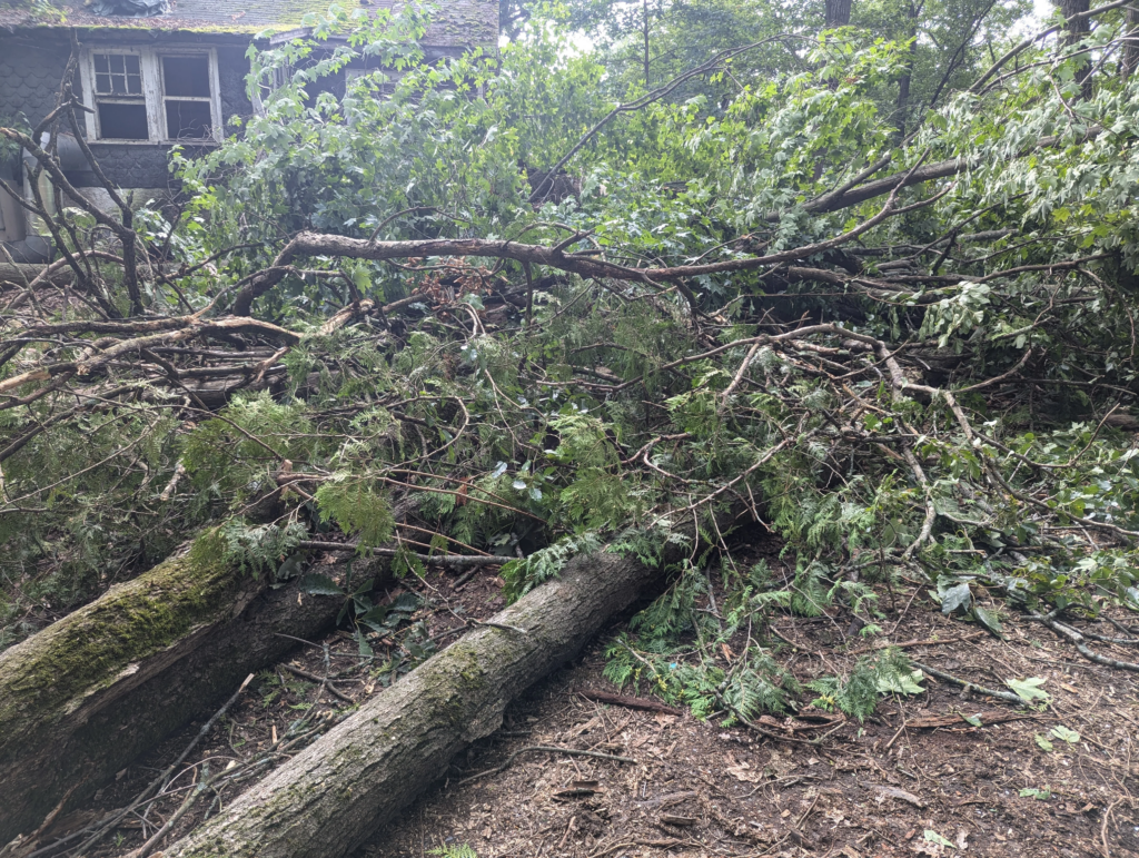 Same-Day Junk Removal